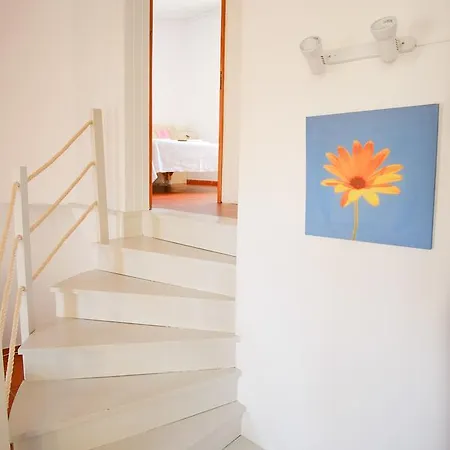 Apartment Pinhao *